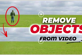 remove objects from videos online