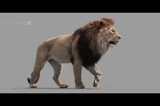 create realistic vfx compositing, 3d animal model, visual effect, cgi integrate