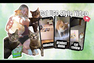 create ugc for your cat products or cat brand