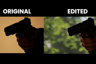 provide professional video editing services