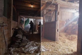 cinematically color grade your videos