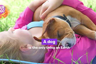 create a video for dog day for your business