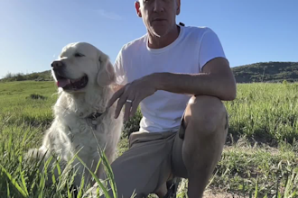 create ugc video ads for tools, construction, and pet brands