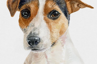do a custom watercolor pet portrait painting
