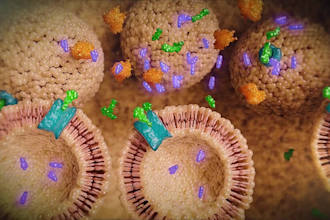 create 3d medical animation, medical explainer video, and surgical illustration