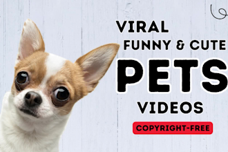 give funny and cute pets videos for youtube, facebook etc