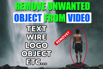 remove object from video within 24 hours