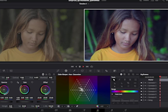 color grade your video with a cinematic look