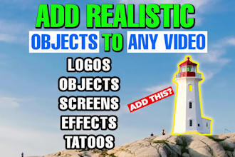 do vfx object removal and cinematic vfx animation