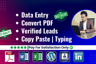 do data entry, pdf to word excel conversion, find true leads and typing work job