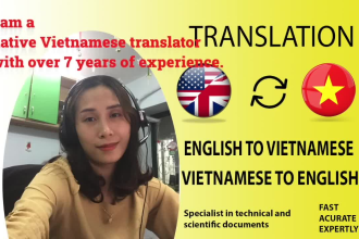 translate english to vietnamese any digital document fast