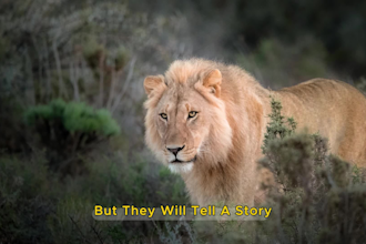 edit your wildlife photos for the best results