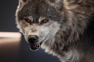 do cgi 3d animal animation 3d animal model 3d rigging vfx compositing, grooming