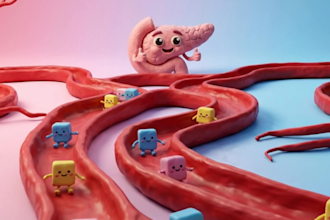 do 3d ai claymation healthcare explainer 3d ai   videos for medical patients