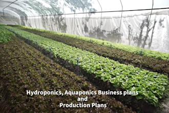 craft winning business plans for the agriculture and food sector