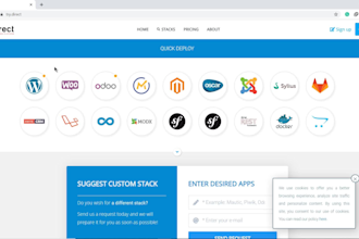 make professional training video tutorials for website and software in hindi