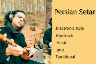 record setar and other persian or iranian instruments