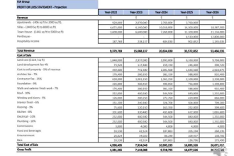 prepare financial statements, income statement, balance sheet,cashflow statement