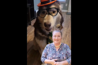create engaging ugc pet videos