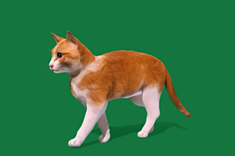 create realistic 3d animal animation, fur xgen, 3d cgi animal model, 3d rigging