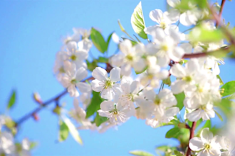 do 8 hours meditation and relaxing music videos for youtube