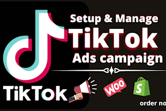 run and manage tiktok ads, tiktok advertising, tiktok ads campaign