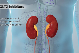 do 3d medical animation pharma moa 3d biotech explainer anatomy video 3d model