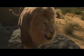 do realistic 3d animal animation, 3d character design 3d animal animation, cgi