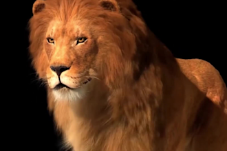 do realistic 3d animal animation, cgi animal model, 3d animal rigg, vfx animal