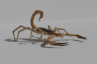 do professinal 3d animation in maya and blender