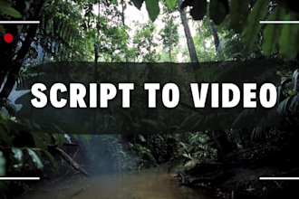 convert script or article into video using stock footages
