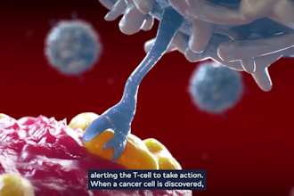 create 3d car t cell therapy biotech and medical animation explainer video