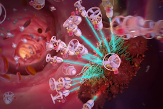 do 3d medical animation 3d healthcare 3d anatomy 3d surgery scientific animation