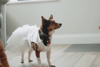 do full day wedding video editing
