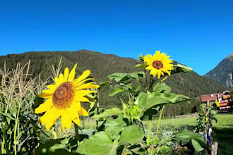 create full HD meditation and relaxing music video