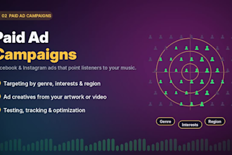 setup spotify music promote ads campaign for your spotify music artist growth