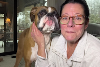 create dog ugc videos for your pet product