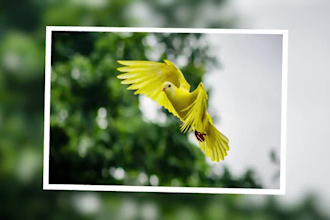 create a slideshow of your pictures and videos
