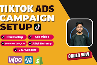 run and manage profitable tiktok ads campaign and tik tok advertising