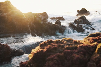 do professional video editing in davinci resolve