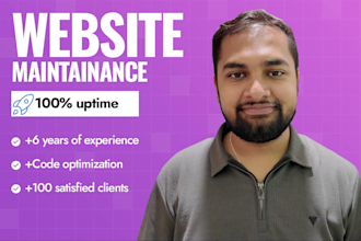 do wordpress maintenance, website support , bug fixes