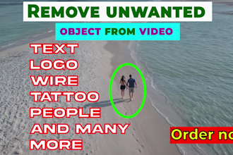remove unwanted object,text,logo,wire,people from videos