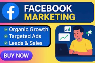expert facebook marketing organic growth and paid ads campaigns