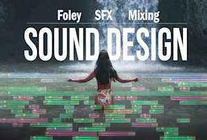 A pro sound design for your movie or animation