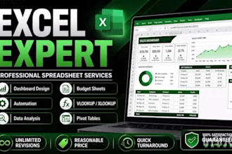 do expert data entry and ms excel tasks professionally