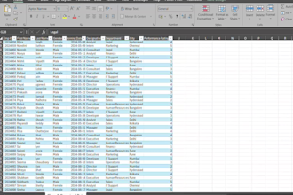 clean and format your excel data professionally