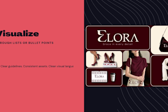 design a professional brand identity, branding kit or brand guidelines