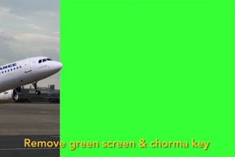 do professional rotoscoping,green screen remove,roto paint