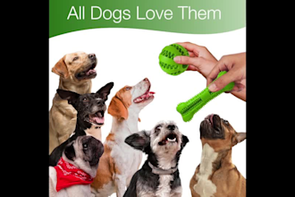 create stunning dog product photos for amazon