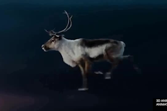 do realistic 3d animal animation, cgi animal model and rig, texture, hair, fur